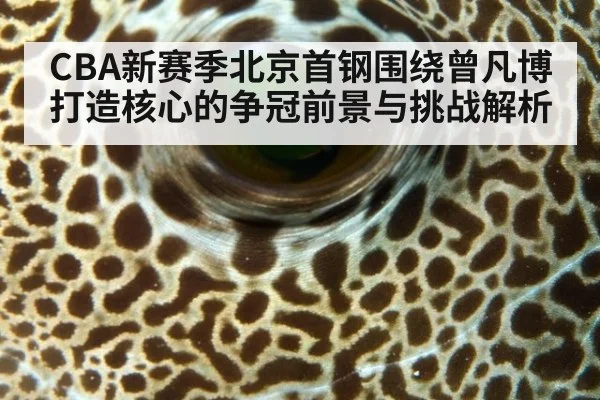 CBA新赛季北京首钢围绕曾凡博打造核心的争冠前景与挑战解析